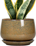 G EPGardening 7 Inch Ceramic Pots for Plants - Ceramic Planters for Indoor Outdoor Plants, Round Plant Pots with Drainage and Saucer, Modern Planter, House Decor, Plant Lover Gifts, Speckled Brown by GEPGardening