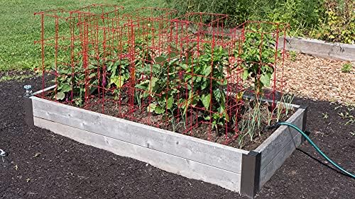 Gardener's Supply Company Pepper & Eggplant Cages - Red (Set of 3) - Image 6