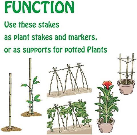Mininfa Natural Bamboo Stakes 6 Feet, Eco-Friendly Garden Stakes, Plant Stakes Supports Climbing for Tomatoes, Trees, Beans, 20 Pack - Image 5