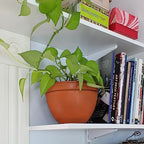 Achla Designs Small Planting Pot, Burnt Sienna - Image 3