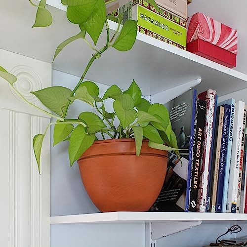 Achla Designs Small Planting Pot, Burnt Sienna - Image 3