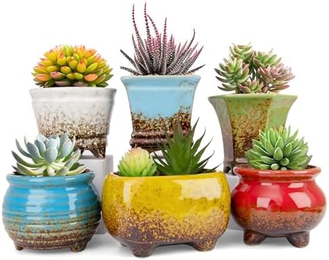 ARTKETTY Succulent Pots, Small Plant Pot with Drainage, Ceramic Planters by ARTKETTY