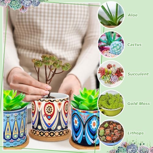 Zopeal 6 Pcs 3 Inch Succulent Pots Succulent Planters Cylinder Ceramic Pots Mandala Multicolor Cactus Pot with Drainage Holes and Bamboo Trays for Indoor Plants Flowers Garden Decoration(Basic) - Image 5