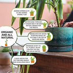 20QT Horticultural Vermiculite Bulk, Organic Vermiculite for Plants, Course Grade Vermiculite for Gardening, for houseplants, for Mushrooms, to Maintain Soil Moisture and Plant Growth(2-4mm) - Image 2