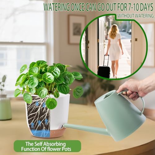 7.2 Inch Self Watering Orchid Pots for Indoor Plants,Macetas para Orqudeas,Flower Pots for Indoor Plants with Holes(White) - Image 5
