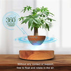 Planting Flower pots,Levitating Plant Pot,Magnetic levitation,Floating Plant Pot,Floating Plant,Hanging Flower pots,Suspendded Flowerpot,Hanging planters for Indoor Plants - Image 2