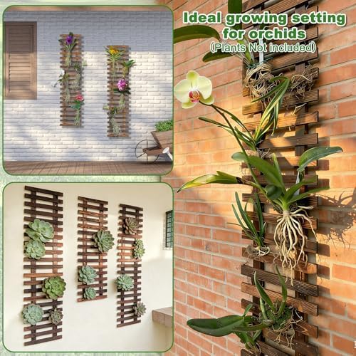Mulctun Wall Planters - 11.4" W x 47.24" H Wooden Wall Planters for Indoor Outdoor Plants,Hanging Wood Wall Trellis,Wall Mounted Plant Holder for Orchids,Succulent,Air Plants,Hanging Pots Display - Image 4