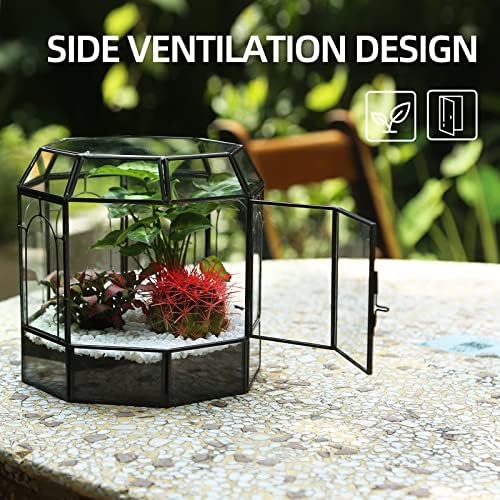 REDHUGO Large Glass Terrarium, Handmade Indoor Planter Display Box, Black - Image 2