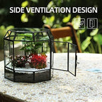 REDHUGO Large Glass Terrarium, Handmade Indoor Planter Display Box, Black - Image 2