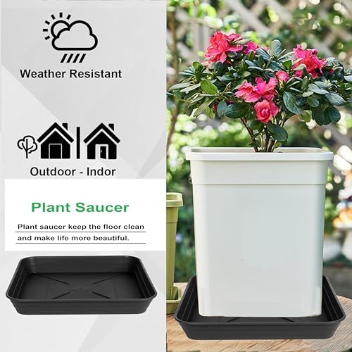3 Pack Square Plant Saucer Tray 20 inch, Heavy Duty Plastic Plant Saucers for Indoors Outdoor, Flower Plant Drip Trays for Pots, Square Seed Starting Tray, Seedling Growing Trays - Image 7
