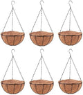 LaLaGreen Large Hanging Baskets (16 in, 6 Pack) Black Metal Coco Liner Pots by L%C3%A1L%C3%A1Green