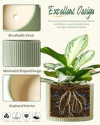 Ceramic Plant Pots, 8.1 + 6 Inch Planters for Indoor Plants, Modern Flower Pot for Plant with Drainage, Medium Cylinder Flower Pots for Indoor/Outdoor, House Plants, Matte Green - Image 4