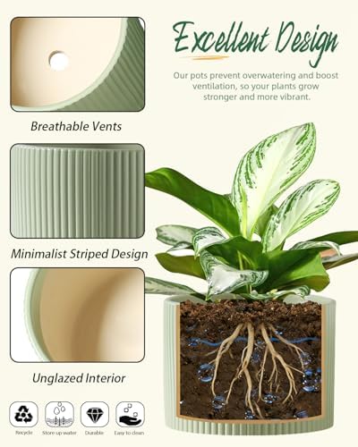 Ceramic Plant Pots, 8.1 + 6 Inch Planters for Indoor Plants, Modern Flower Pot for Plant with Drainage, Medium Cylinder Flower Pots for Indoor/Outdoor, House Plants, Matte Green - Image 4