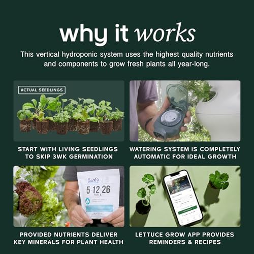 Lettuce Grow Farmstand Outdoor Starter Kit | 36 Seedlings | 6ft - Image 3