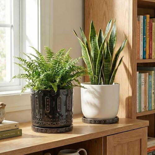 EightPot Plant Trays for Pots 7.5 Inch, 2 Pack Flower Pot Saucers, Round Ceramic Plant Saucers for Indoors Outdoors, Modern Plants Plates to Catch Water, Decorative Plants Dishes to Catch Water, Black - Image 6