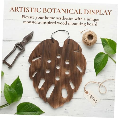 Luxshiny Staghorn Fern Mounting Board with Monstera Support, 28x33cm Wooden Wall Planter for Air Plants and Orchids, Vertical Decorative Plant Holder for Indoor Garden and Home Decor - Image 3
