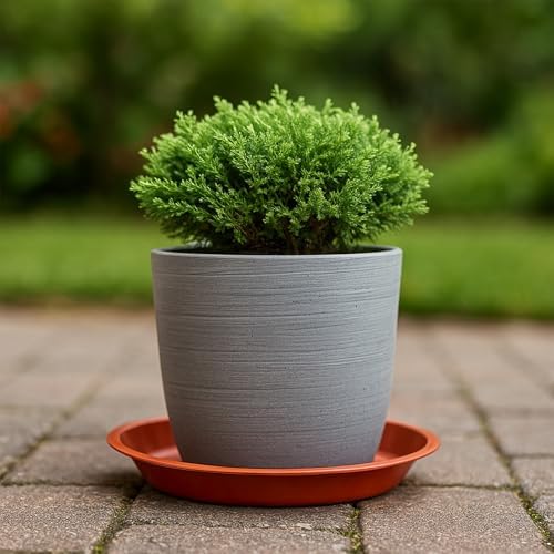 10 Pack Plant Saucer 16 Inches Plastic Drip Trays to Catch Water, Red - Image 3
