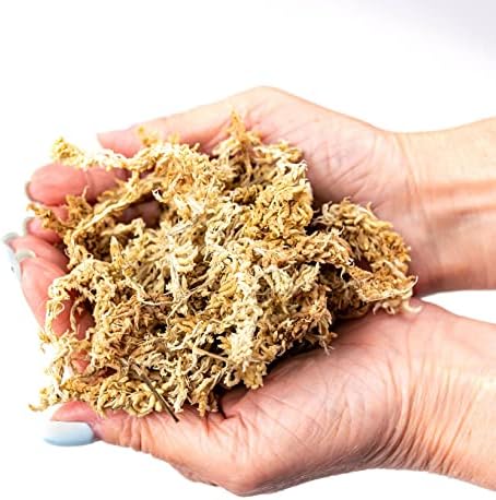 Premium Grade Sphagnum Moss by Gardenera - 20 Quart - Organic Hand Mixed New Zealand Long Fibered Sphagnum Moss Orchid - 4 Bags of 5 Quart - Image 4