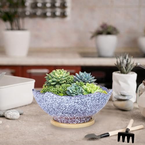 Bonsai Pots - 9.06'' Ceramic Pots for Indoor Plants, Large Succulent Pots - Image 6