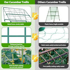 ROADPLUM 2 Pack Cucumber Trellis for Raised Garden Bed, Outdoor Sturdy Metal A-Frame Cucumber Trellis Support for Climbing Plants Vegetables with Accessories, Easy Installation & Easy Harvesting - Image 3