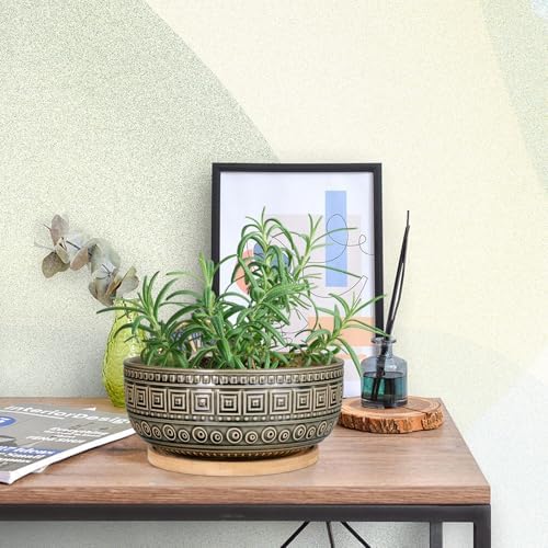 EPGardening 8 Inch Ceramic Succulent Planter Pots with Bamboo Saucer, Gray - Image 5