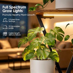 Plant Stand Indoor with Grow Lights - 6 Tiered lighted Plant Shelves Indoor - Image 2