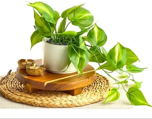 Kurrajong Farmhouse Dark Green Fake pothos | Fake Plant for Shelf Decor | Artificial Trailing Ivy Plant with 5" Wide Ceramic Pot | Faux pothos | Feaux Pothos | Bathroom and Kitchen Decor - Image 2