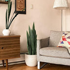 Worth Garden 3ft Artificial Snake Plant Fake Sansevieria Indoor Outdoor, 28 Thick Leaves Lifelike Faux Silk Plant, Home Decor Mother in Law Tongue Plant 35in, with Black pot & Dry Moss Included, Green - Image 2
