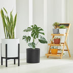 FaithLand 10-Inch Modern Cylinder Planter, Thick-Walled Plastic Plant Pot with Drainage Holes and Detachable Saucer, Matte Black, Ideal for Indoor & Outdoor Plants Flowers - Image 4