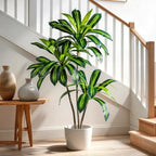 Tall Fake Tree Artificial Trees Plant with White Planter Pot Indoor Outdoor Potted Silk Plants Large Faux Trees loor Floor for Home Living Room Office Outside Patio para decoracion Housewarming Gift - Image 2