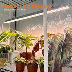 Bstrip 3-Tier Indoor Greenhouse with Grow Light, 35.4x13.8x59in - Image 4