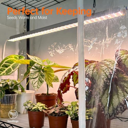 Bstrip 3-Tier Indoor Greenhouse with Grow Light, 35.4x13.8x59in - Image 4