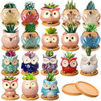 Cindeer 18 Pcs 2.5 Inch Owl Ceramic Succulent Planter Pots Mini Small Ceramic Pots with Drainage Hole and Bamboo Tray for Succulents Glaze Cactus for Home Garden Office Desk Decoration Gift Ideas by Cindeer