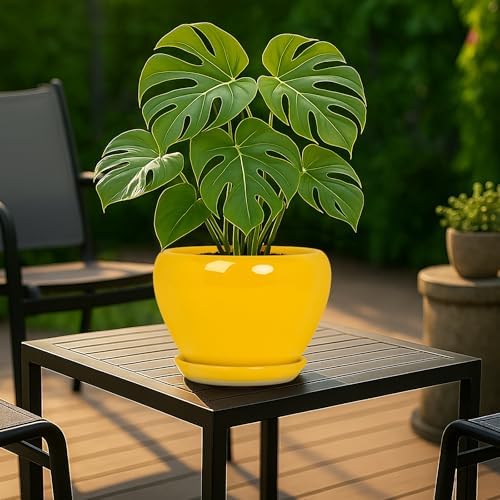 Deep Dream 8 Inch Plant Pots- Ceramic Pots for Plants with Drainage Hole and Saucer, Large Planter Pot for Indoor Plants Outdoor Decor, Yellow - Image 3