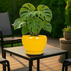 Deep Dream 8 Inch Plant Pots- Ceramic Pots for Plants with Drainage Hole and Saucer, Large Planter Pot for Indoor Plants Outdoor Decor, Yellow - Image 3