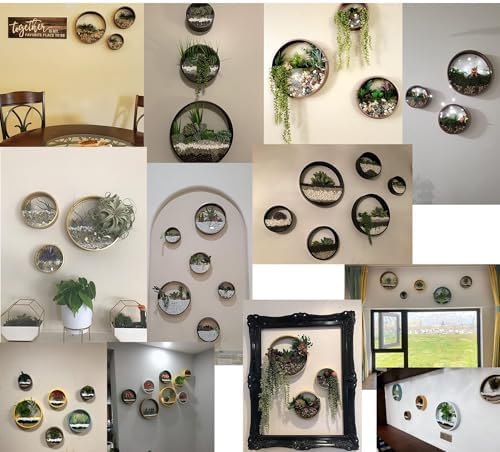 3 Pack Set Wall Planters,Modern Round Glass Wall Planter Succulent Planter Circle Iron Hanging Planter Vase for Herb,Small Cactus Perfect for Balcony, Room and Patio Decor (Gold) - Image 6