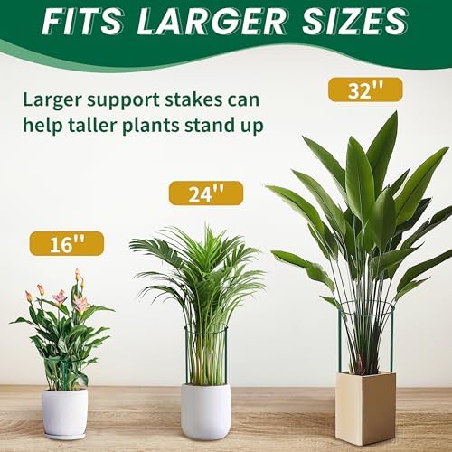 TCBWFY 14" Dx32 H Plant Supports Stakes for Large Heavy Plants,10Pack Peony Supports,Heavy Duty 5mm Wire Peony Cages,Interlock Garden Supports Ring Border Support,Plant Support Cage for Rose Flower - Image 7