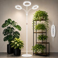 LBW 3-Head Grow Light with Stand for Indoor Plants, Full Spectrum Grow Light for Tall Large Plants, Adjustable Height up to 68", Auto Cycle Timer 6/8/12/16H, 5-Level Dimming, 3 Lighting Modes,White by LBW