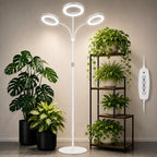 LBW 3-Head Grow Light with Stand for Indoor Plants, Full Spectrum Grow Light for Tall Large Plants, Adjustable Height up to 68", Auto Cycle Timer 6/8/12/16H, 5-Level Dimming, 3 Lighting Modes,White by LBW