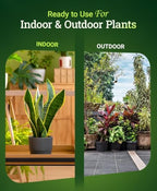 FoxFarm Happy Frog Potting Soil - Ready-to-Use Amended Container Blend with Soil Microbes, Earthworm Castings, Bat Guano, and Aged Forest Products for Indoor & Outdoor Plants - 12 Quart (2 Pack) - Image 4