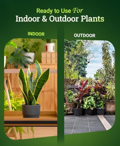 FoxFarm Happy Frog Potting Soil - Ready-to-Use Amended Container Blend with Soil Microbes, Earthworm Castings, Bat Guano, and Aged Forest Products for Indoor & Outdoor Plants - 12 Quart (2 Pack) - Image 4