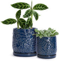 D'vine Dev 2-Pack Embossed Leaves Planter, 4/6 in, Midnight Blue, 27-B-U-3 by DvineDevPlanterPotsandStand