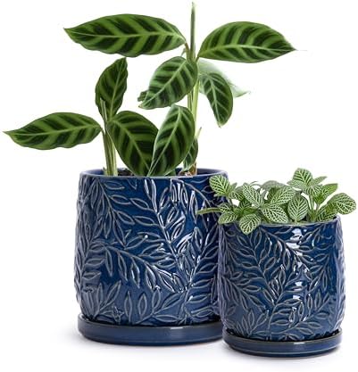 D'vine Dev 2-Pack Embossed Leaves Planter, 4/6 in, Midnight Blue, 27-B-U-3 by DvineDevPlanterPotsandStand