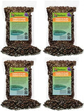 Premium Monstera Esqueleto Soil Mix - Trusted by Experts for Strong and Healthy Plants by Gardenera - 20 Quart (4 Bags of 5 Quart) by Gardenera