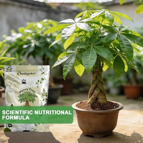 All-Natural Money Tree Soil & Indoor Potting Mix 10QT - Drainage-Enhanced Plant Soil for Healthy Indoor Plants - Image 3