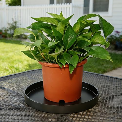 1 Pack 16 inch Plant Saucer Drip Tray, Heavy Sturdy Plastic Planter Flower Pot Drainage Tray Plate Saucers for Indoor Outdoor Garden, Plant Water Drip Trays for pots Base (16", Black) - Image 5