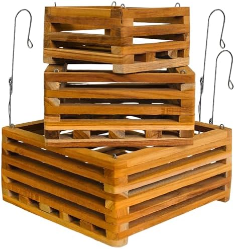 Set of 3 Strong Teak Wood Orchid Baskets for Outdoors with Hangers, 1 is 10 Inches Wide, 1 is 8 Inches, 1 is 6 Inches, for Orchids, Staghorn Ferns, Orchid Gifts by Desquiggle