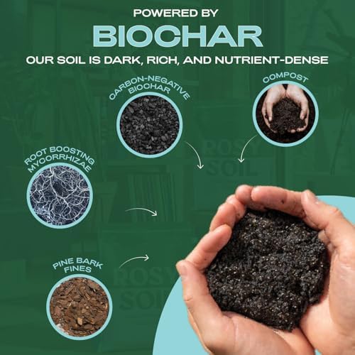 Rosy Soil Indoor Potting Soil Bundle, Organic Houseplant, Aroid and Cactus Potting Mix Set, Peat-Free Biochar Formula, 4 Qt Each - Image 2