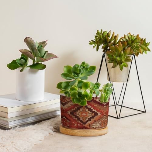 KilimTurkish Style Ceramic Planters Burnt Orange Color Ikat Snake Plant Live Indoor with Pot with Drainage Holes and Saucers Pot for Home Office Decoration - Image 4