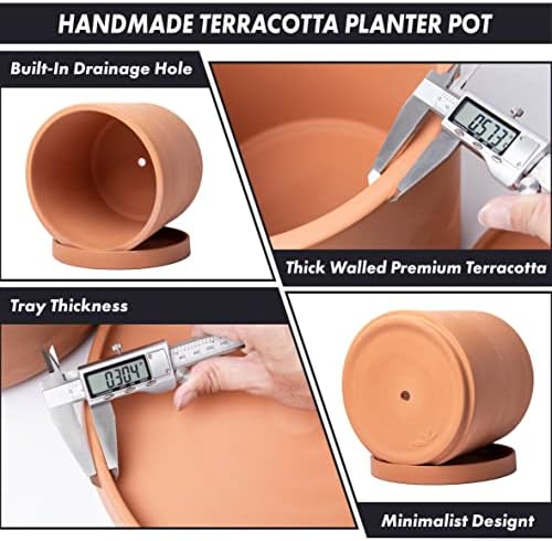 D'vine Dev Terracotta Plant Pot with Saucer, 12 Inch, 40-X-A-6 - Image 5